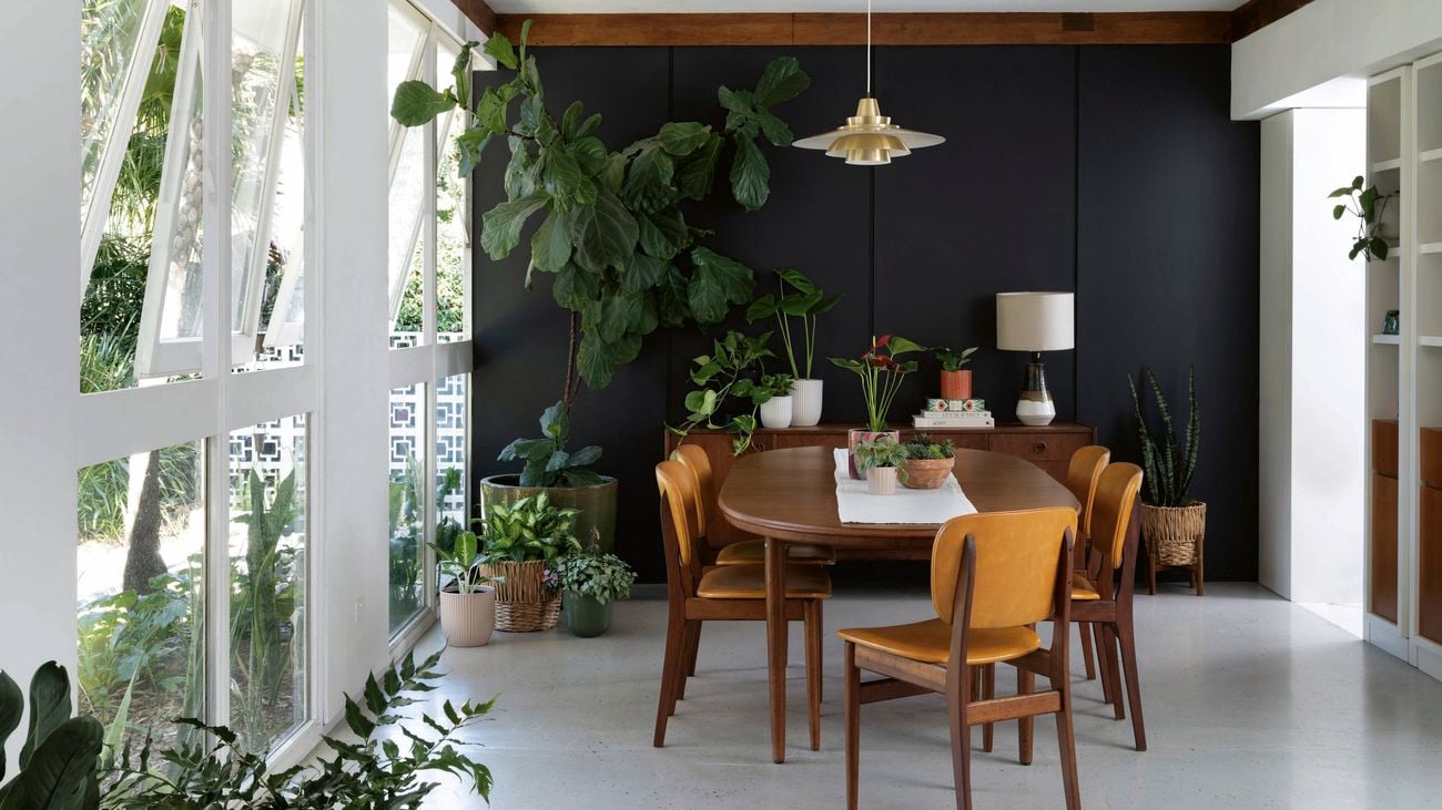 Dining room with open windows and indoor plants