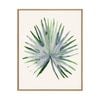 Artey | Green Papyrus I - Framed Canvas - Natural Frame - 100 x 125cm