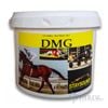 Staysound DMG Energy Booster & Recovery Horse Supplement 3kg