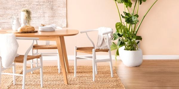 Dining room with timber floors, jute rug, white chairs and an elephant ear philodendron