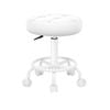 Alfordson Salon Stool Round Swivel Barber Hair Dress Chair Gas Lift All White