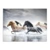 Artey | Horse Run V - Stretched Canvas - Stretched Canvas - 120 x 160cm