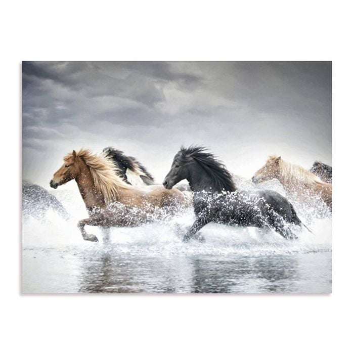 Artey | Horse Run V - Stretched Canvas - Stretched Canvas - 120 x 160cm