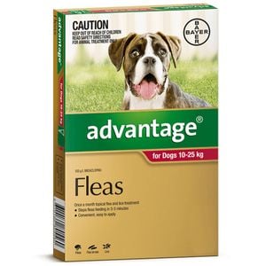 Advantage Dog 10-25kg Large 4pk Red