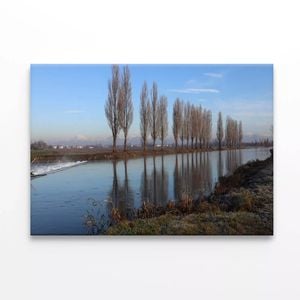 Water Surrounded By Trees  Print 100% Australian Made 120 x 90cm  (Stretched)
