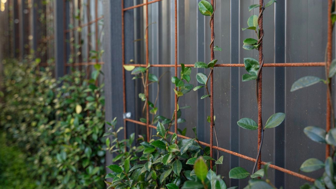 Transform your garden with thoughtful screening for privacy and charm