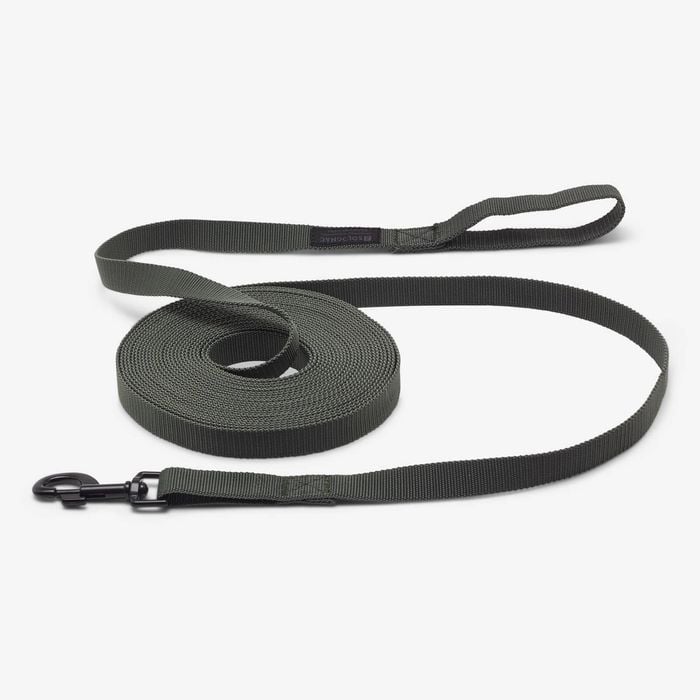 Decathlon - Dog Lead 10 M Green 100 - One Size