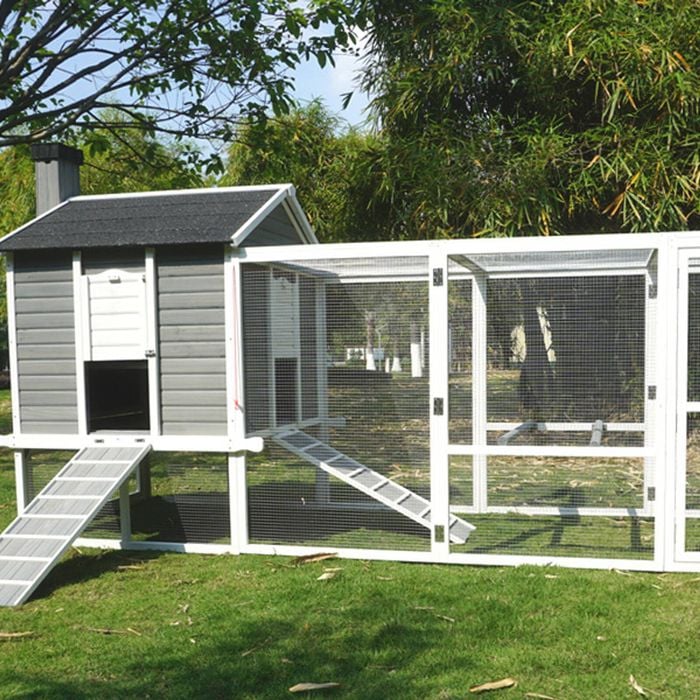 The Standford Cat Enclosure