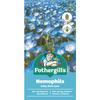 Fothergill's Nemophila Baby Blue Eyes Flower Seeds