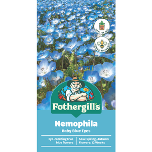 Fothergill's Nemophila Baby Blue Eyes Flower Seeds