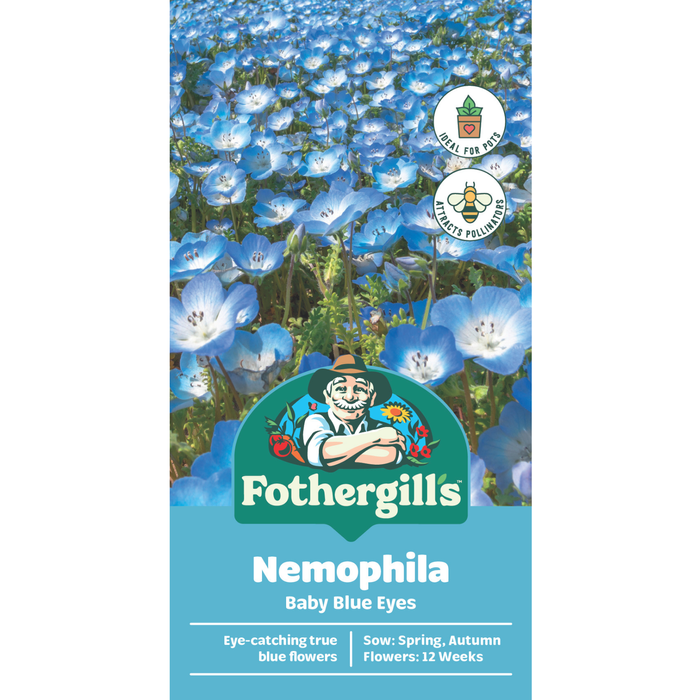 Fothergill's Nemophila Baby Blue Eyes Flower Seeds