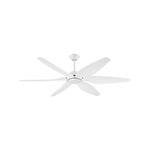 Mercator Bright 6 Blade Ceiling Fan