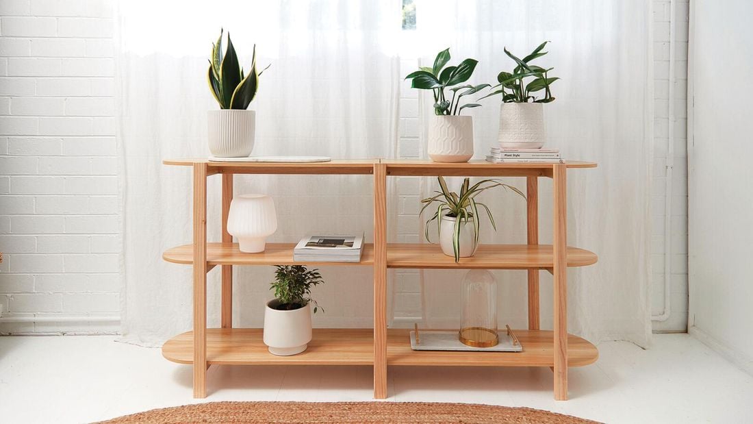 Multiple plant pot styles on a wooden display shelf