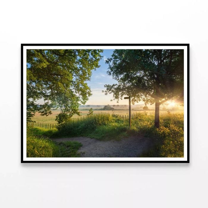 Footpath, Sunrise with Trees  Print 100% Australian Made 120x90cm  (Poster)