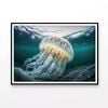 White Jellyfish Floating  Print 100% Australian Made 90x60cm  (Poster)