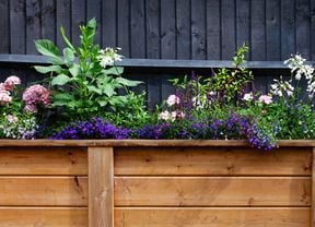 D.I.Y. - Header – The best garden ideas for spring 