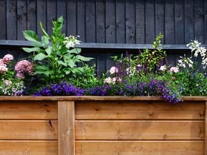 D.I.Y. - Header – The best garden ideas for spring 