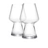 Luigi Bormioli Birrateque Seasonal Beer Glass 750ml Set of 2