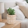 EDEN 11.5cm Earth Etch Indoor Concrete Planter - 115mm