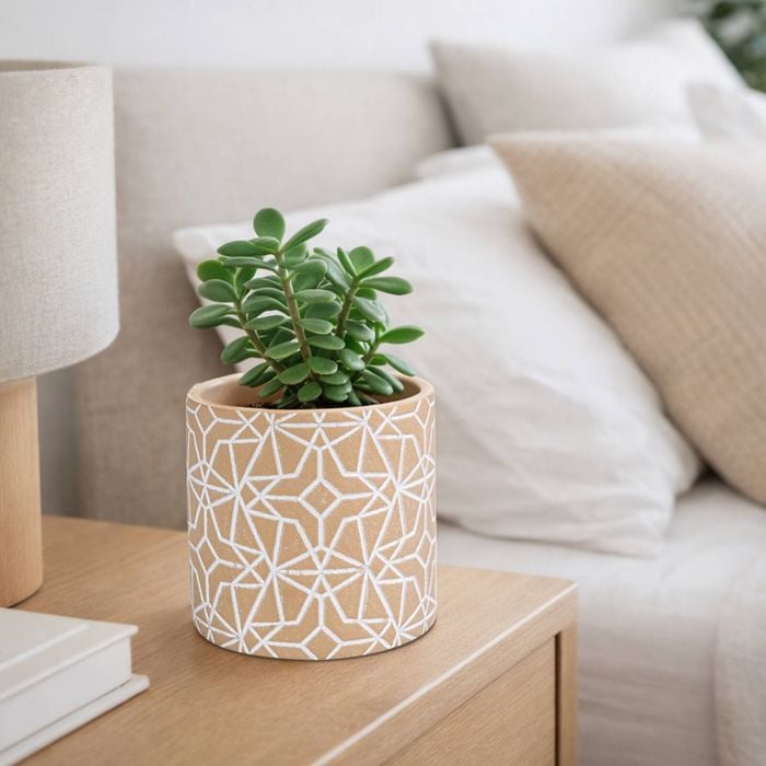 EDEN 11.5cm Earth Etch Indoor Concrete Planter - 115mm