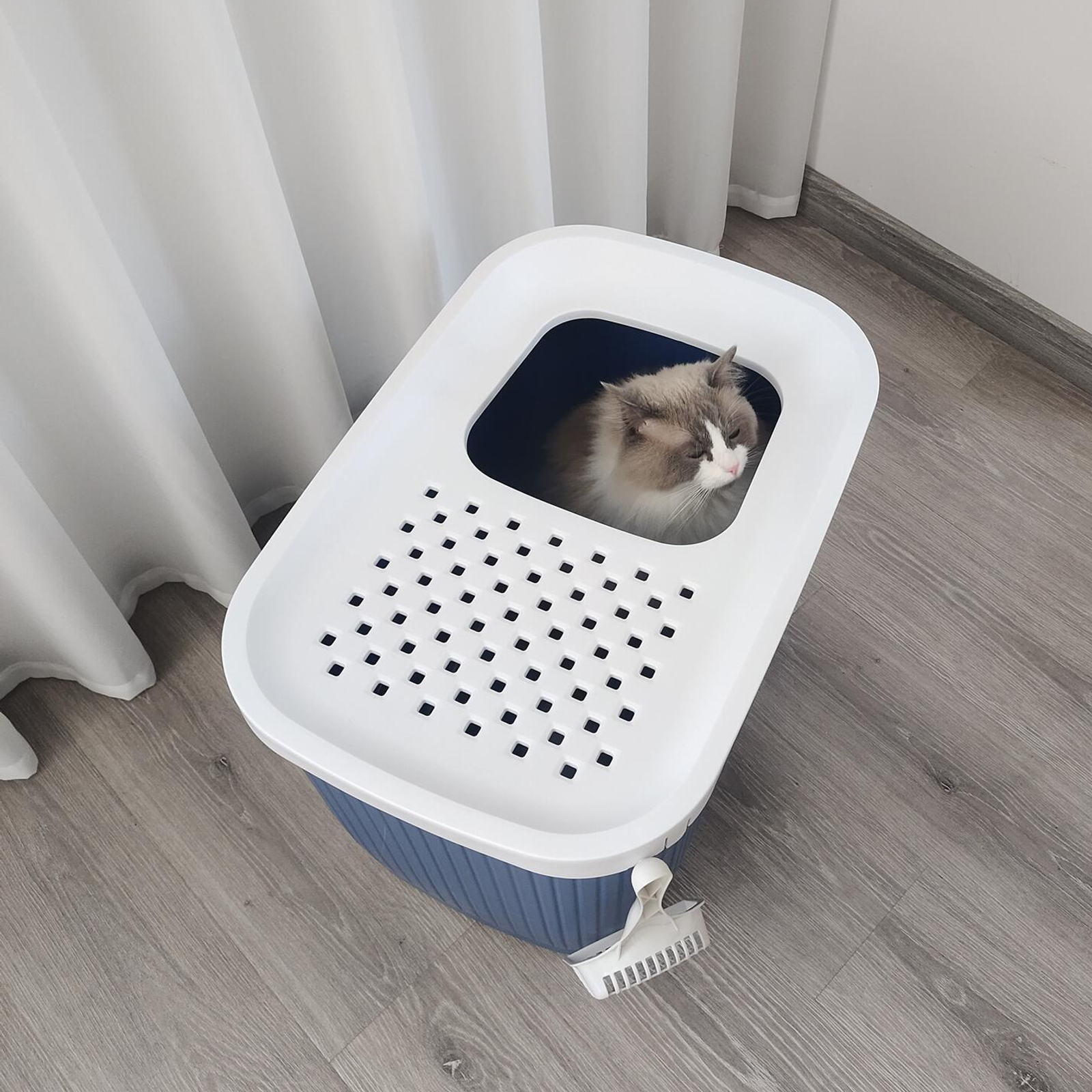 Cat litter tray bunnings sales