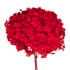 Blooms of Joy 50cm Red Hydrangea Small Petal