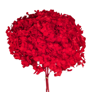 Blooms of Joy 50cm Red Hydrangea Small Petal