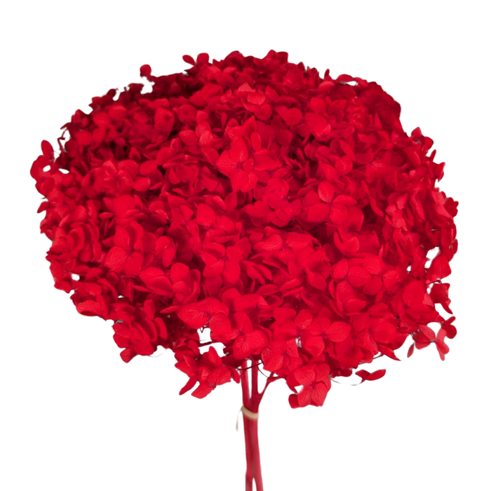 Blooms of Joy 50cm Red Hydrangea Small Petal