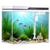 Advwin 41L Smart Aquarium Fish Tank