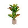 Un-Real 55cm Artificial Petra Croton