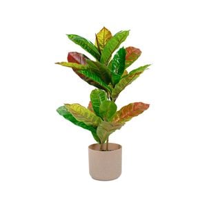 Un-Real 55cm Artificial Petra Croton