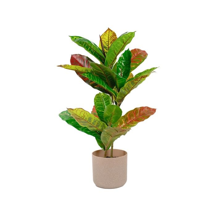 Un-Real 55cm Artificial Petra Croton
