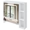 Advwin 730 x 700mm Cabinet LED Medicine Storage Mirror Shaving Cupboard w/ Tower Rack White