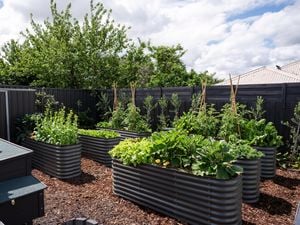 Patio Garden Bed with Base