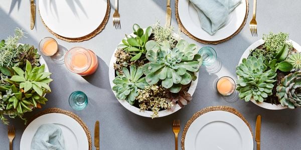 Close up of three succulent centrepieces in concrete look pots on a decorated dinner table with tableware