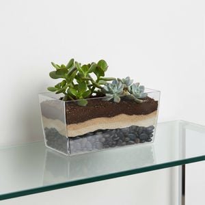 Moda 25cm Clear Coimbra Planter