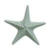 Lvd Starfish Coastal Ceramic Ornament Indoor/outdoor Decor 23.5x22x5cm