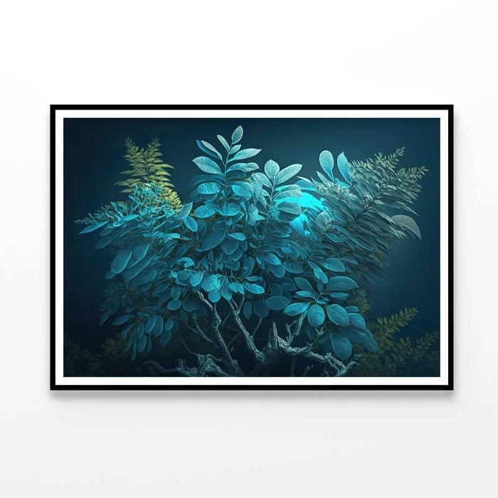 Reef and Underwater Organisms  Print 100% Australian Made 120x90cm  (Poster)