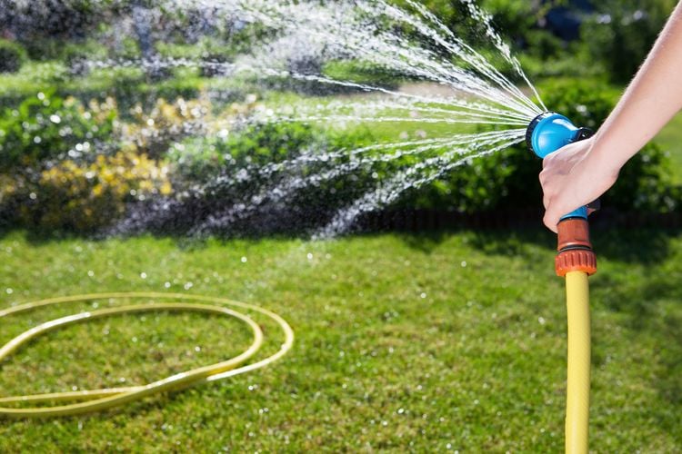 Person watering grass with hose
