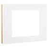 HPM VIVO Coverplate - White Gloss / Rose Gold