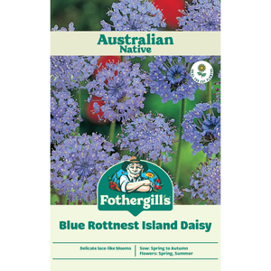 Fothergill's Rottnest Blue Island Daisy Seeds
