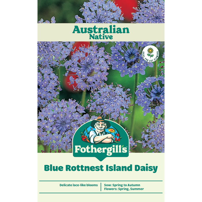 Fothergill's Rottnest Blue Island Daisy Seeds