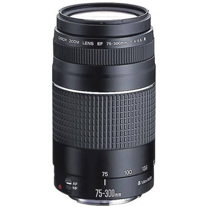 Canon Ef 75-300mm F4-5.6 Telephoto Lens