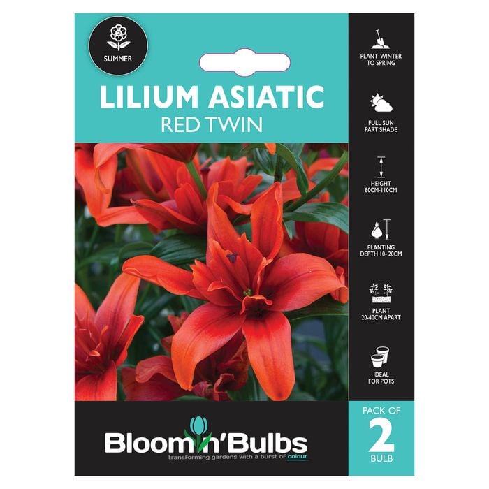 Bloomin' Bulbs Lilium Asiatic Red Twin - Lilium hybrid