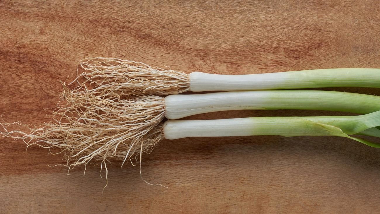 Close up of leeks with roots showing on a wooden cutting board.