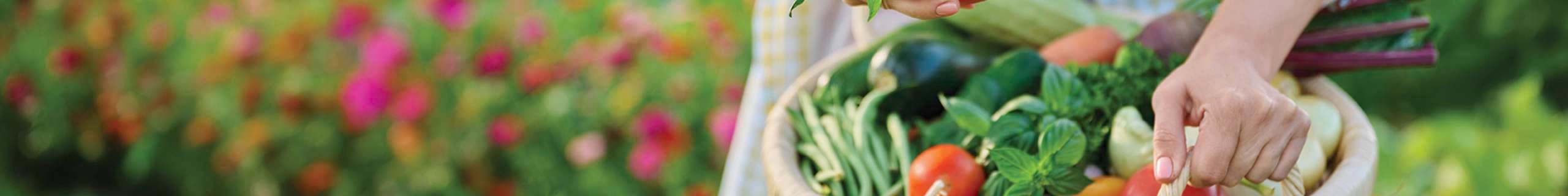 Brand page - Daltons Bunnings Banner 0925