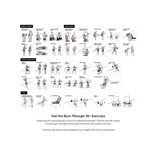 CORTEX SM25 Multi Gym (Dual Stack Functional Trainer, Smith Machine ...