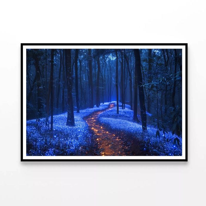 Footpath in the Forest View  Print 100% Australian Made 90x60cm  (Poster)