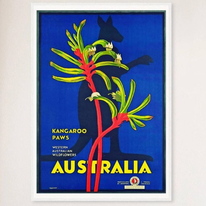 Galrie Vintage Western Australian Kangaroo Paws Travel Poster for Home Decor, White Frame, A0 84 x 119cm (33 x 47inch)