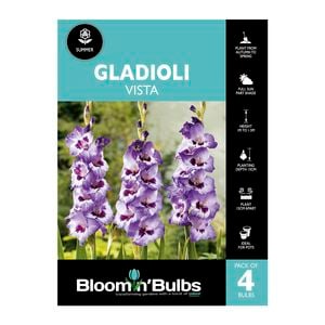 Bloomin' Bulbs Gladioli Vista - 4 Pack